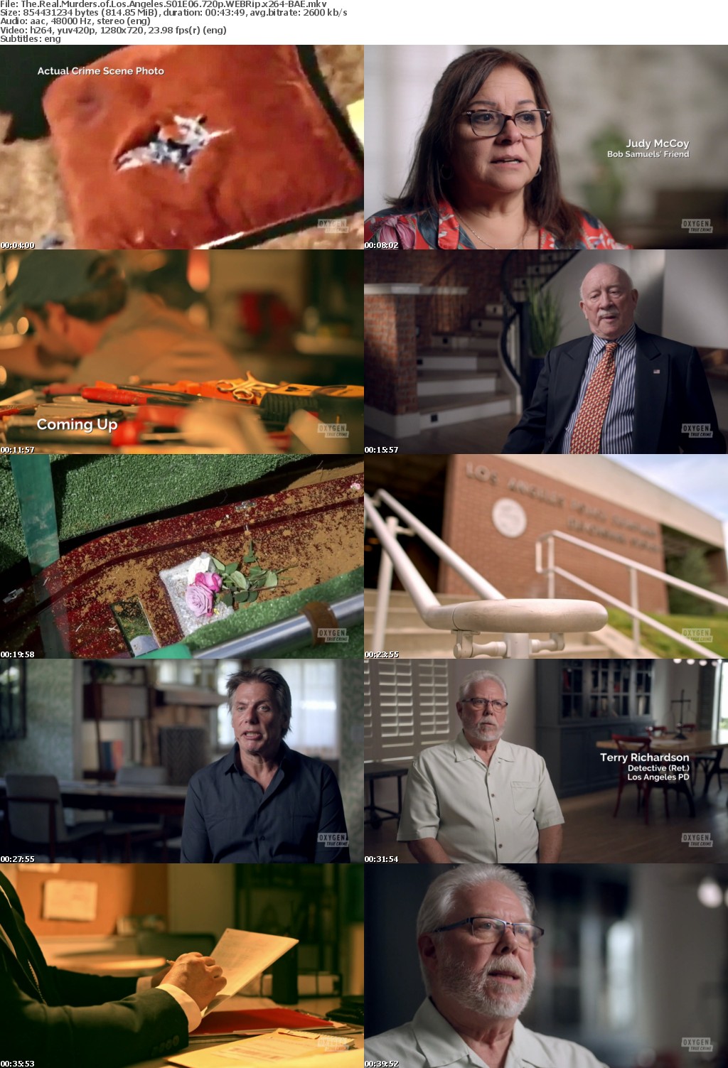 The Real Murders of Los Angeles S01E06 720p WEBRip x264-BAE