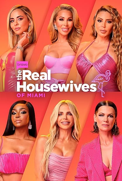 The Real Housewives of Miami S06E05 A Night at the Opera 720p AMZN WEB-DL DDP2 0 H 264-NTb