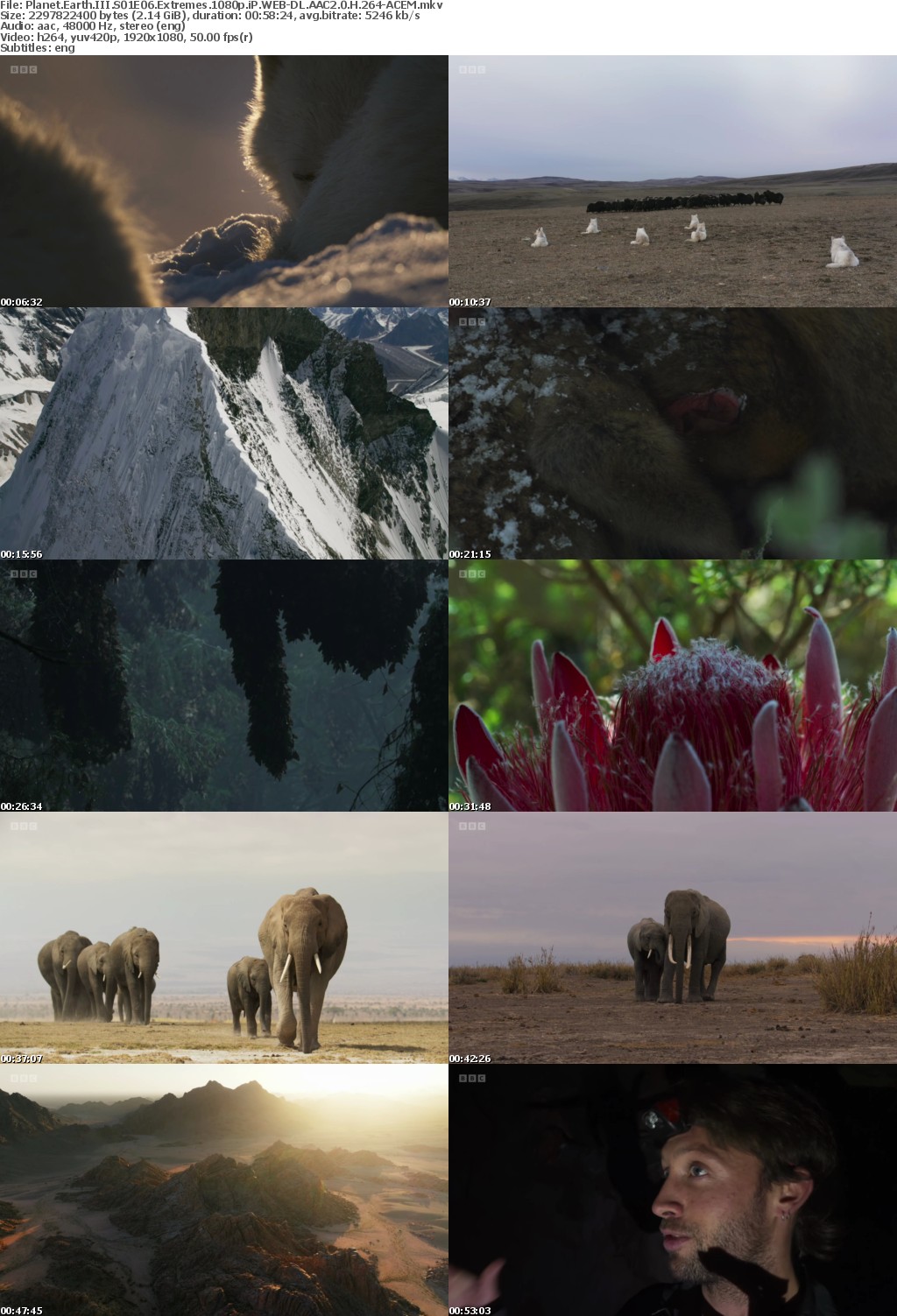 Planet Earth III S01E06 Extremes 1080p iP WEB-DL AAC2 0 H 264-ACEM