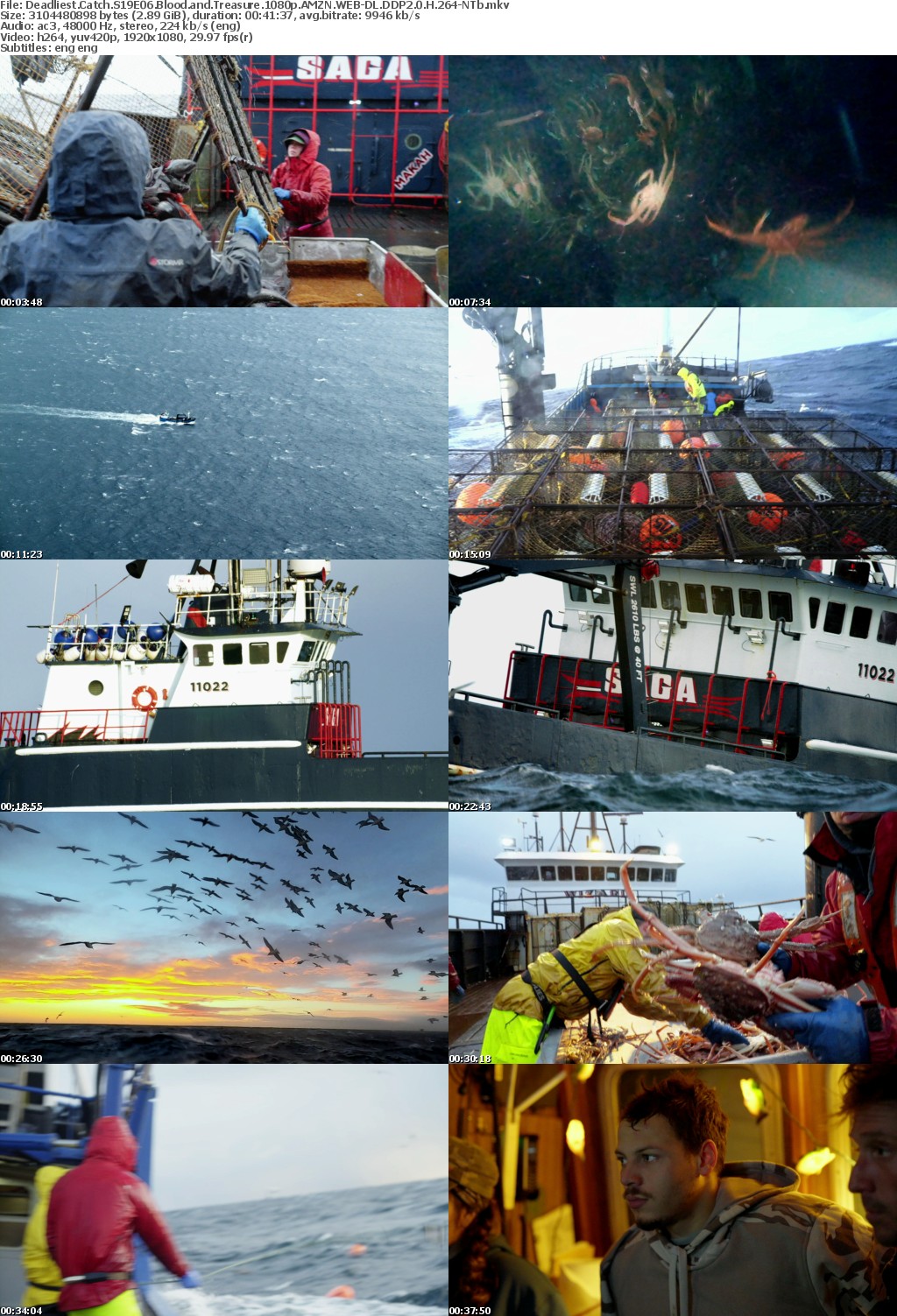 Deadliest Catch S19E06 Blood and Treasure 1080p AMZN WEB-DL DDP2 0 H 264-NTb