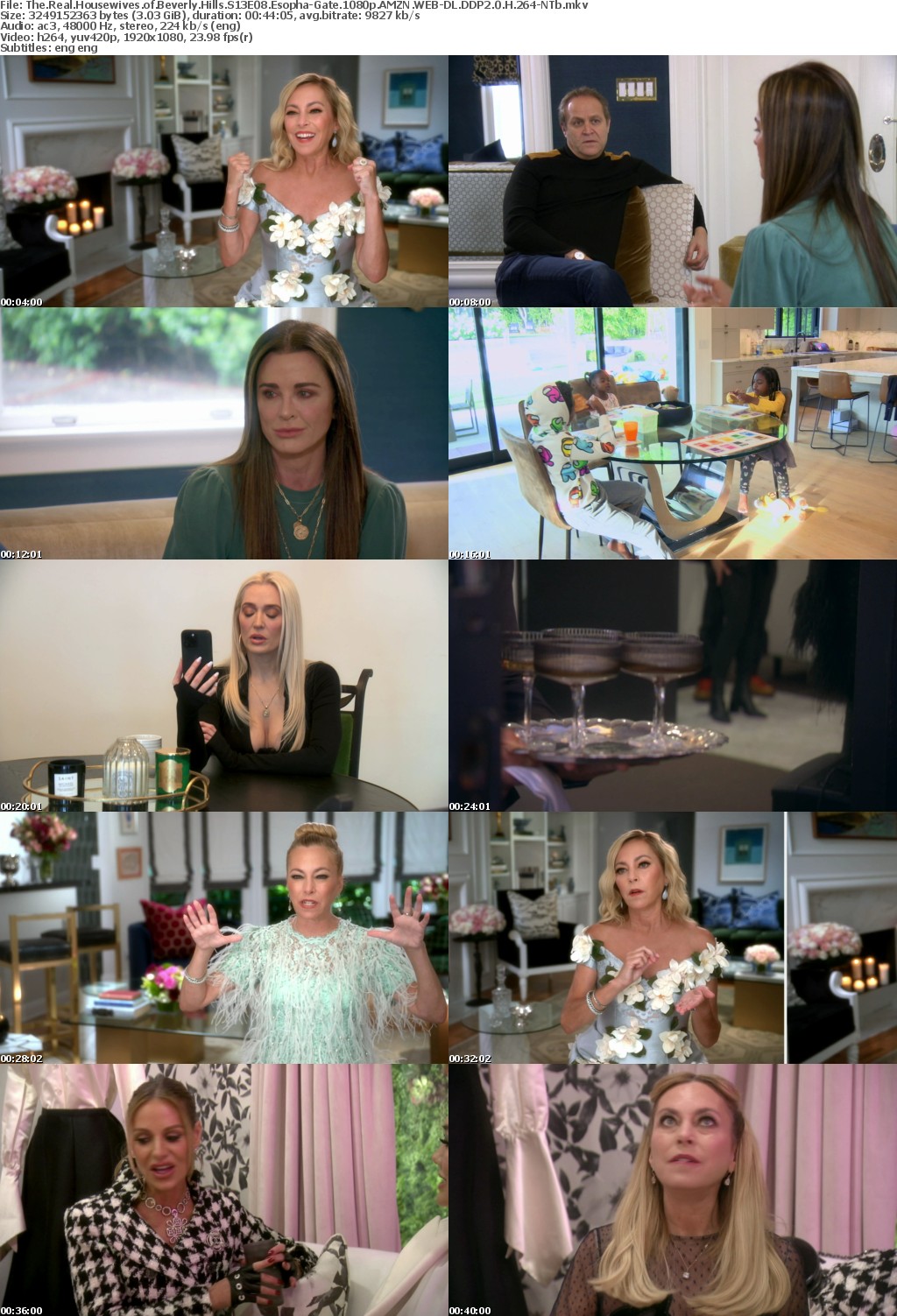 The Real Housewives of Beverly Hills S13E08 Esopha-Gate 1080p AMZN WEB-DL DDP2 0 H 264-NTb