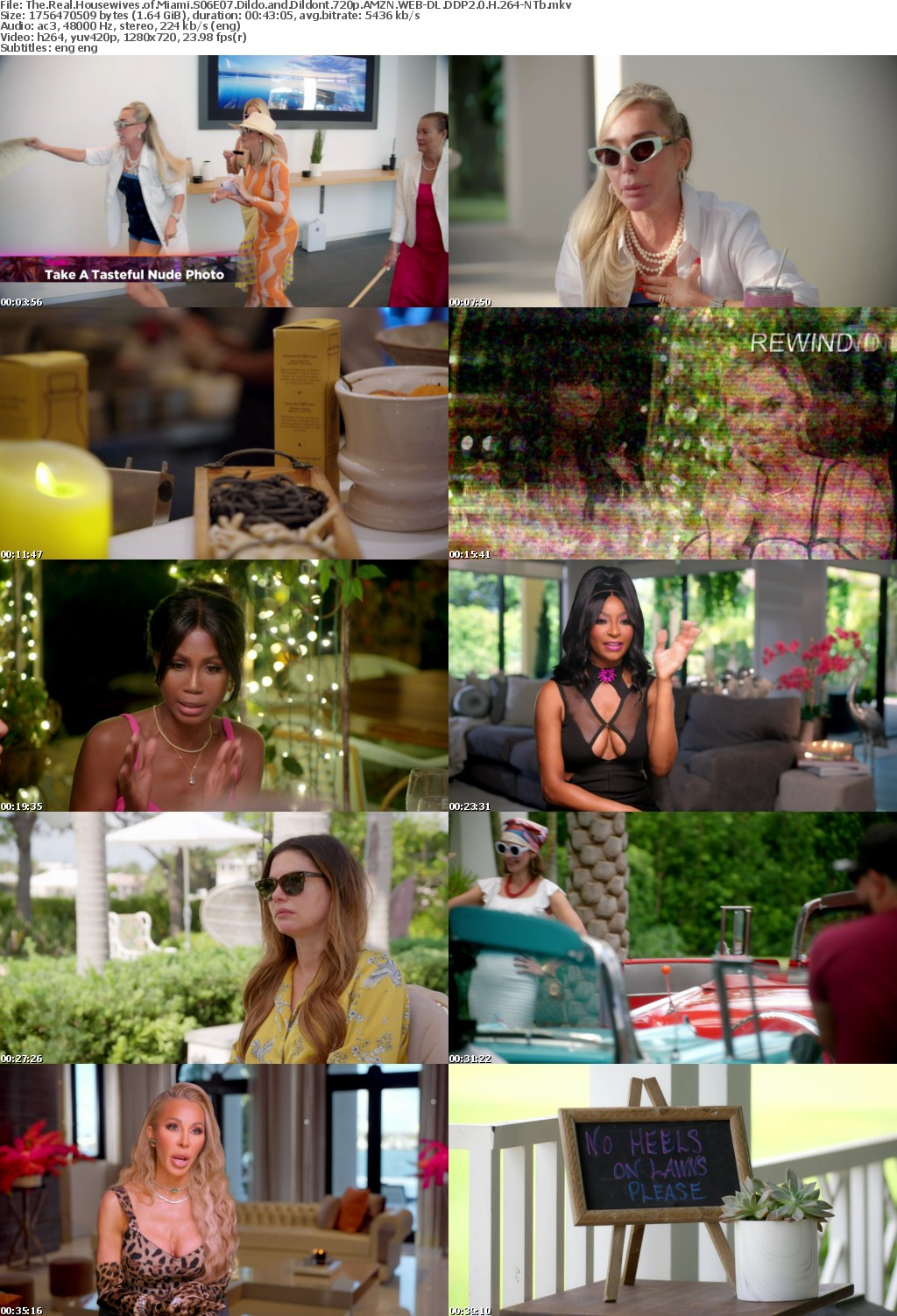 The Real Housewives of Miami S06E07 Dildo and Dildont 720p AMZN WEB-DL DDP2 0 H 264-NTb