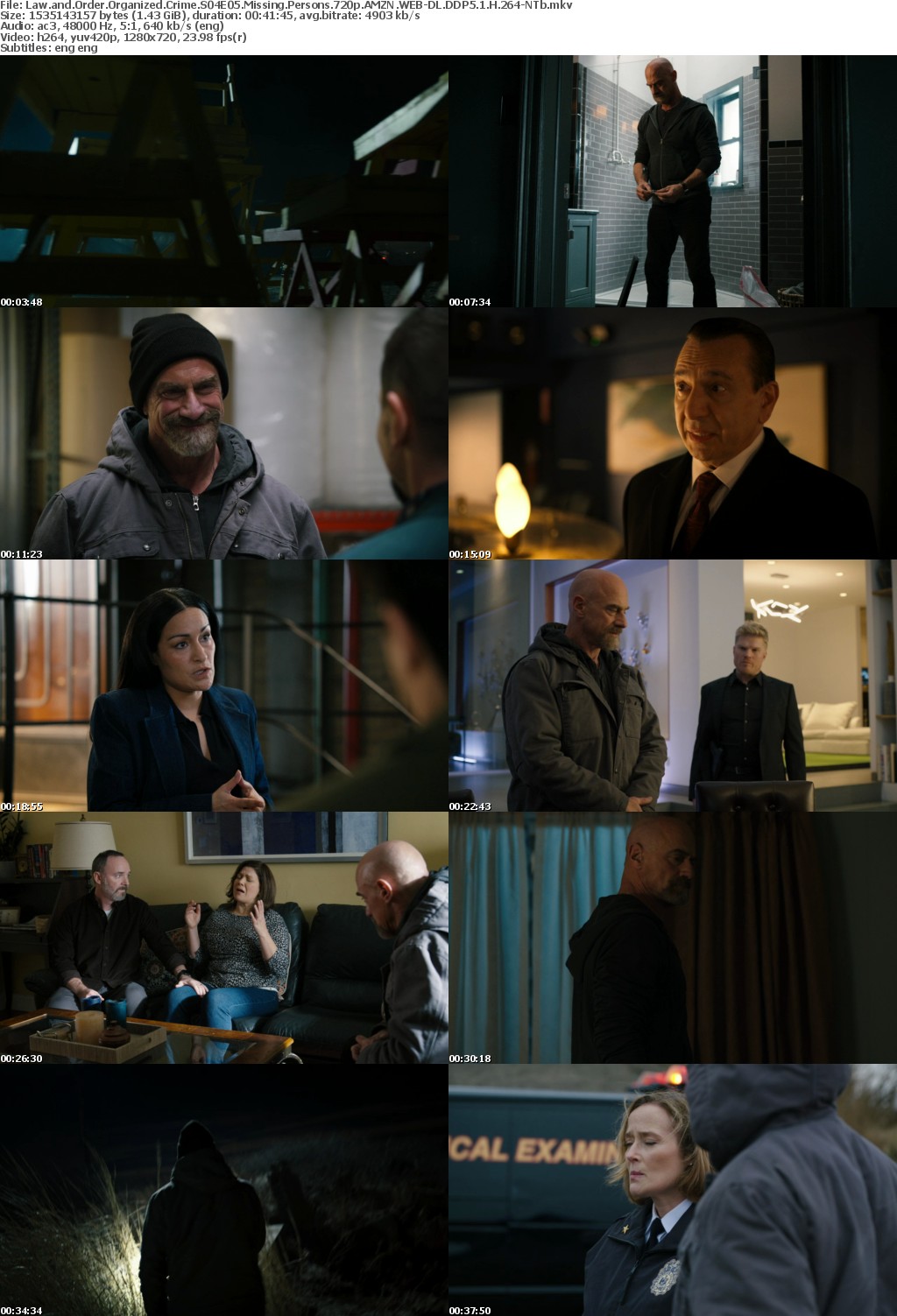 Law and Order Organized Crime S04E05 Missing Persons 720p AMZN WEB-DL DDP5 1 H 264-NTb