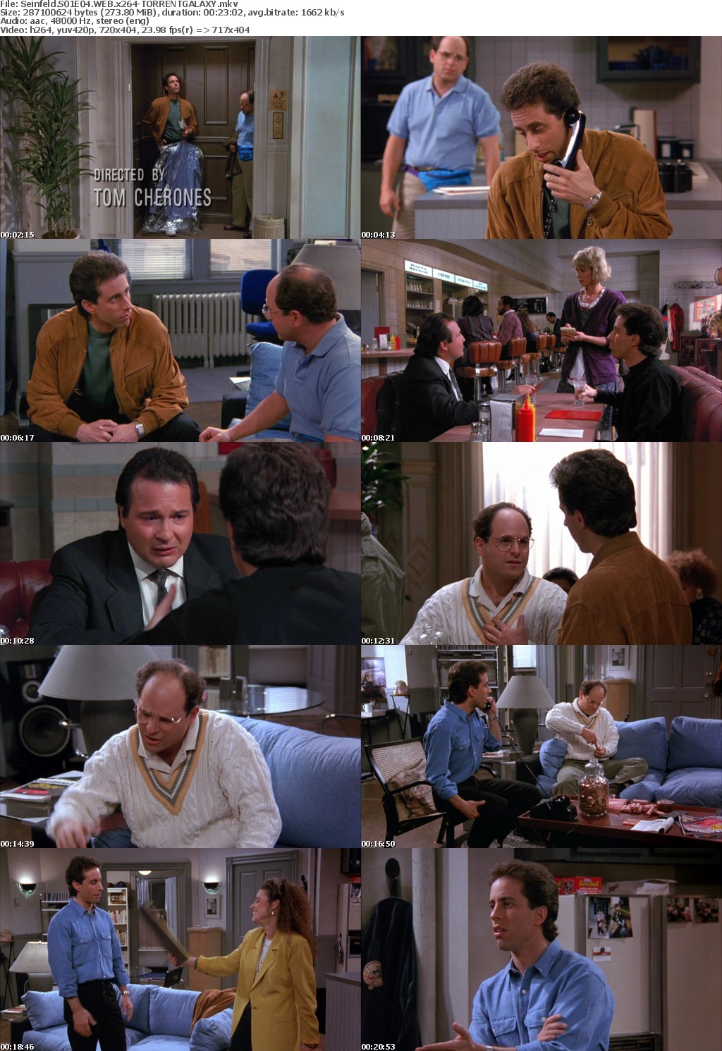 Seinfeld S01E04 WEB x264-GALAXY