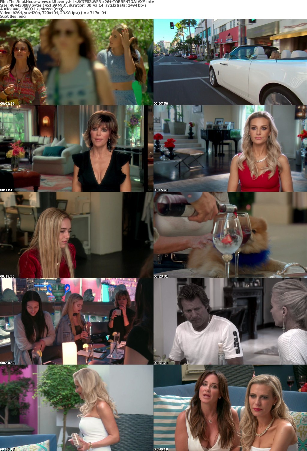 The Real Housewives of Beverly Hills S07E03 WEB x264-GALAXY