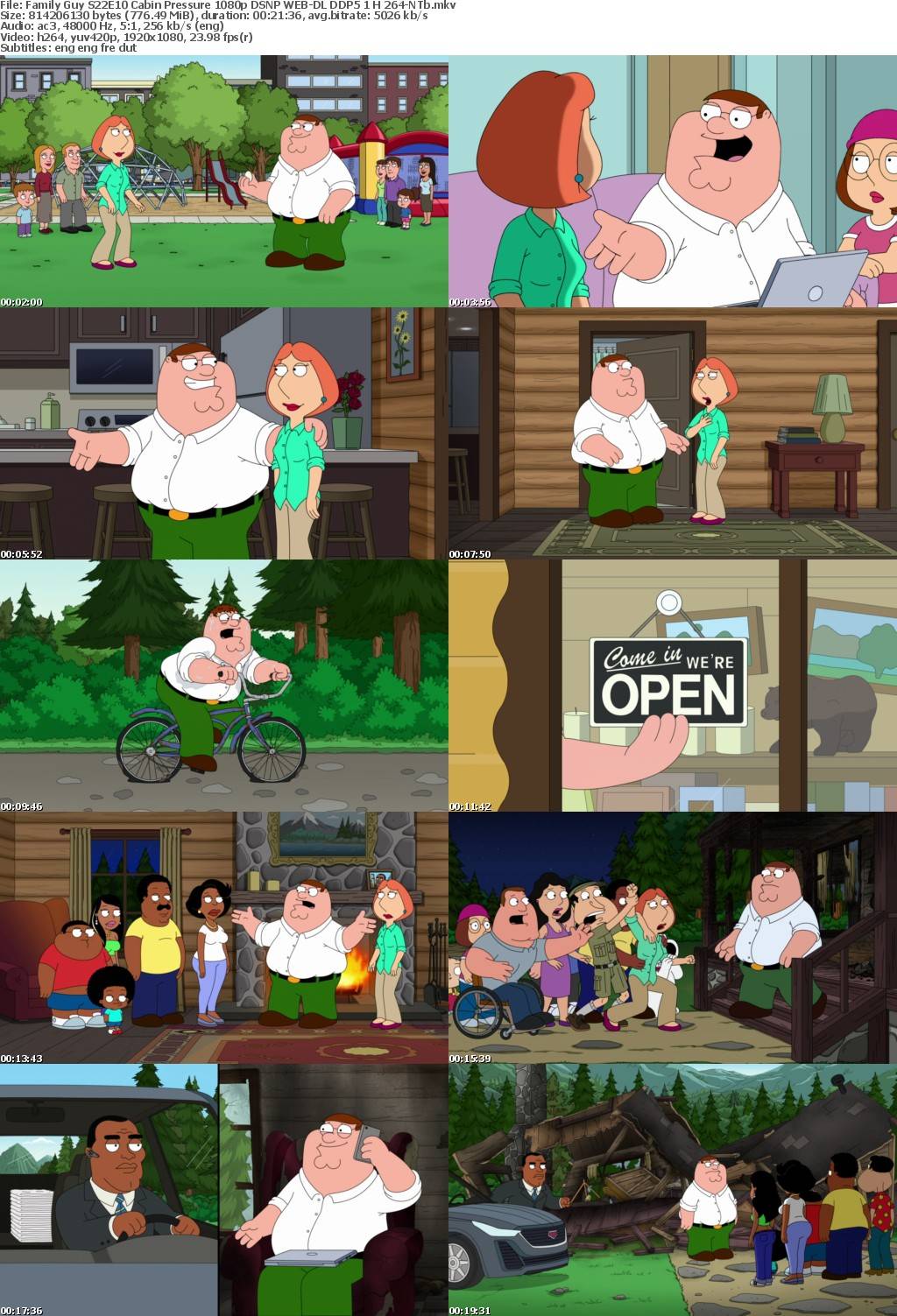 Family Guy S22E10 Cabin Pressure 1080p DSNP WEB-DL DDP5 1 H 264-NTb