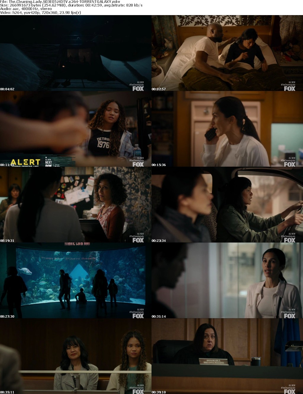 The Cleaning Lady S03E05 HDTV x264-GALAXY