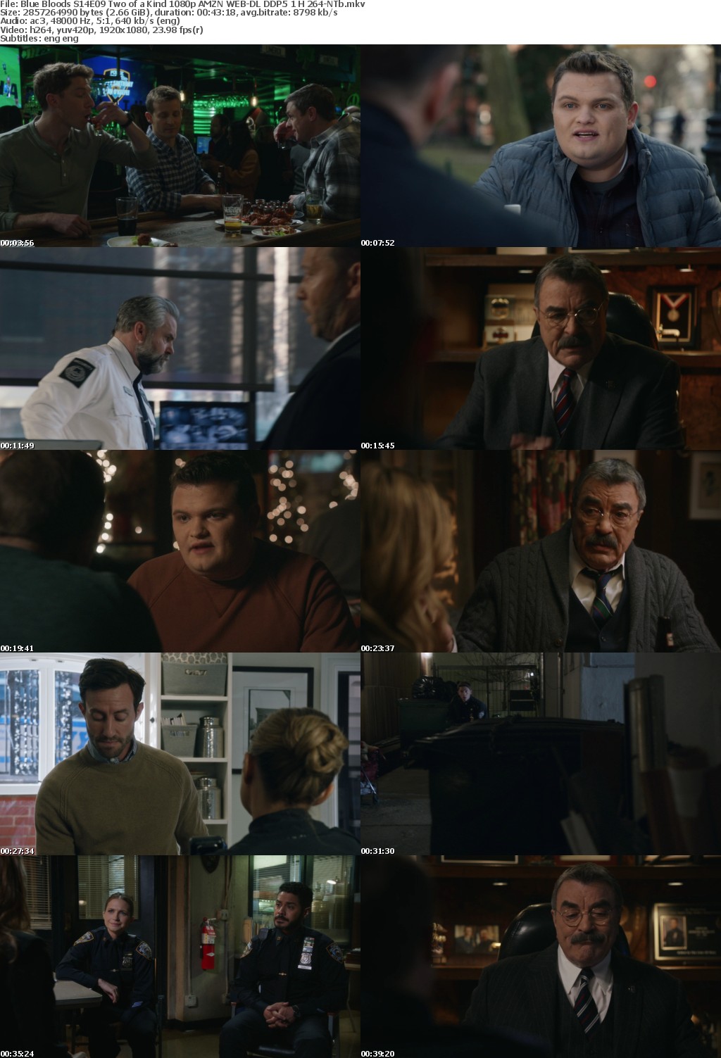 Blue Bloods S14E09 Two of a Kind 1080p AMZN WEB-DL DDP5 1 H 264-NTb